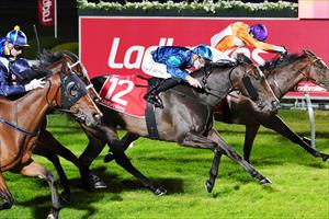 A Pinch Of Luck & Beau Mertens, Cranbourne, Nov 2022 A Pinch Of Luck & Beau Mertens, Cranbourne, Nov 2022